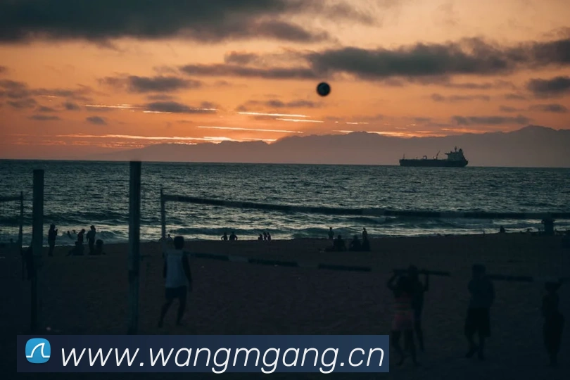 乐鱼网页版登录入口发展历程